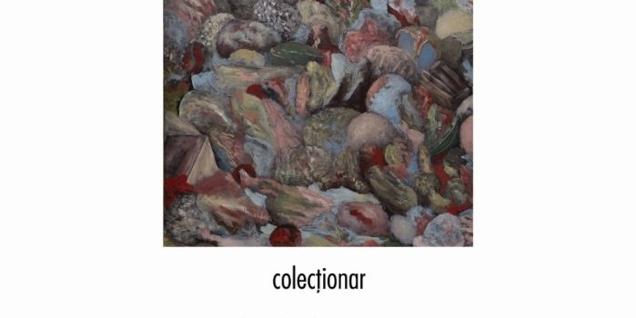 AFIS  Ucenicie printre arte. Sorin Costina, colecționar