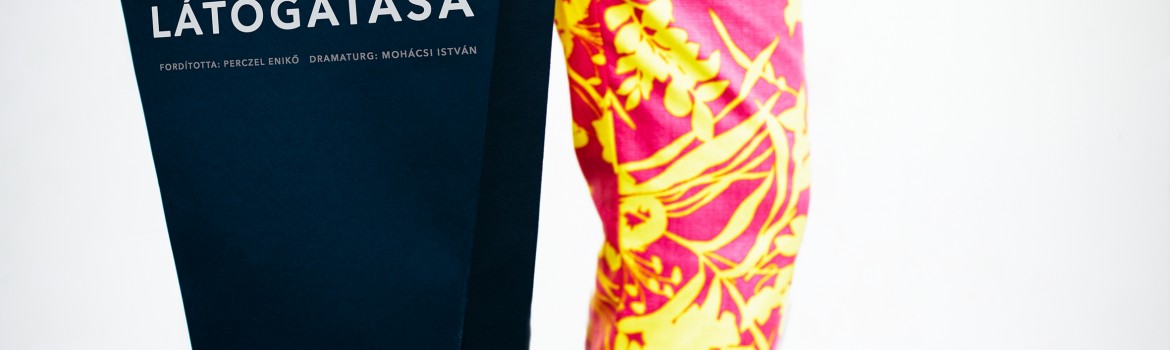 Vizita batranei doamne