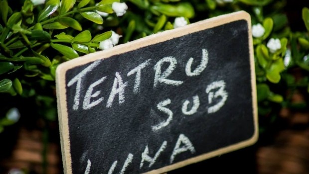 teatru-sub-luna-festival