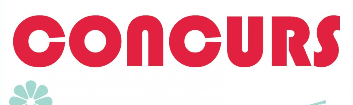 concurs-magazinul-de-case
