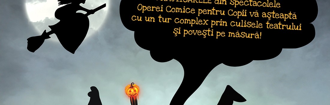 Afis Noaptea Vrajitoarelor 2017