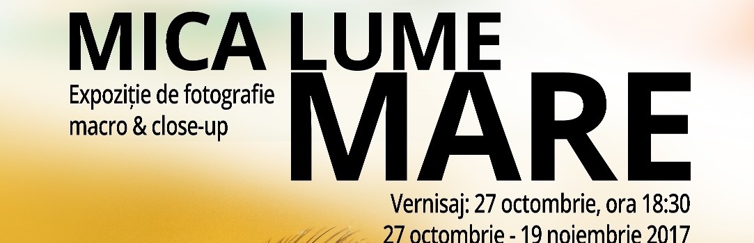 Mica_lume_Mare