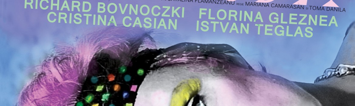 Poster_Idolul si Ion Anapoda