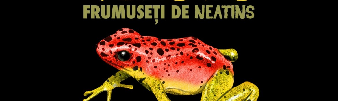 venin - frumuseti de neatins