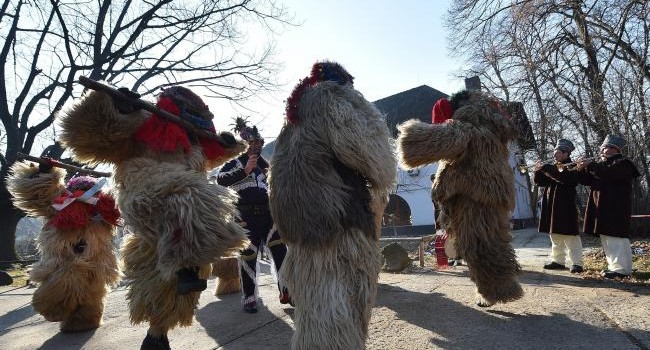 muzeul satului