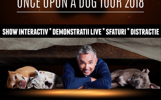 cesar millan