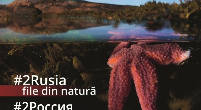 #2Rusia – file din natură