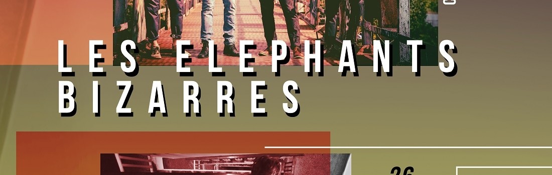Les Elephants Bizzares_BTlive