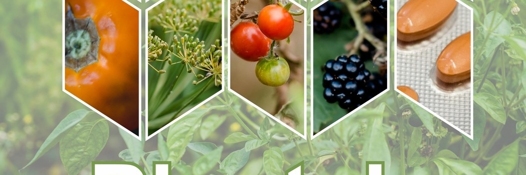 Afis plantele anti cancer.lw