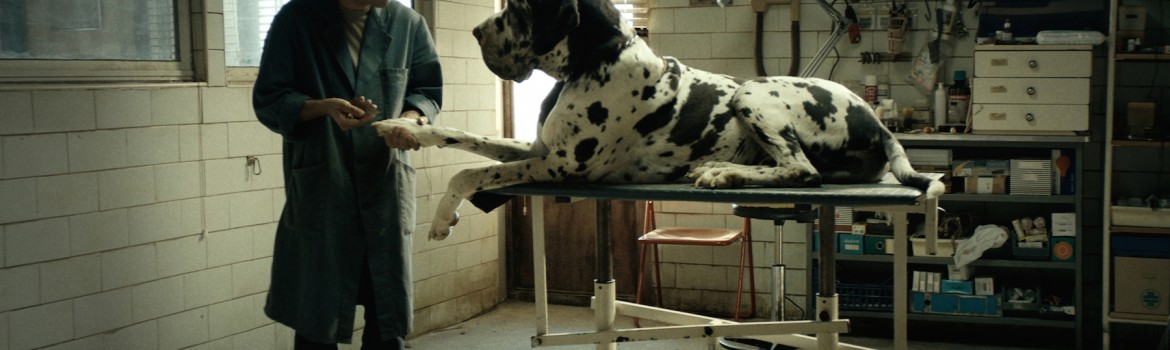Dogman-film still
