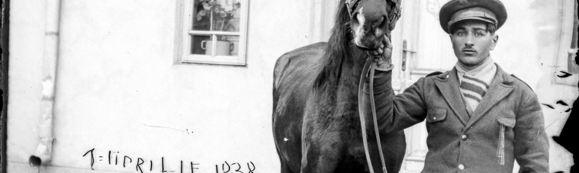 827 Militar cu un cal. Cal de rasă, 1 aprilie 1938