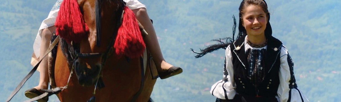 MTR Afis A2 - pt web