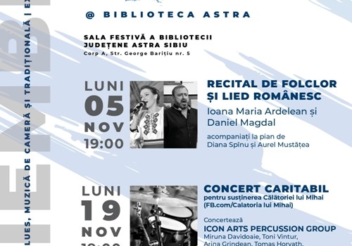 Poster Stagiunea ICon Arts Biblioteca ASTRA_NOV18_web