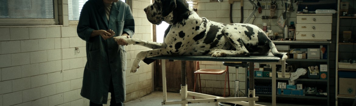 DOGMAN_Marcello Fonte