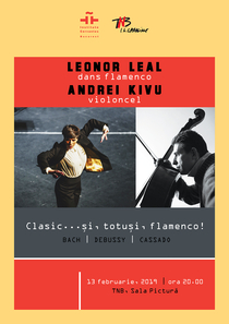 small_flamenco4_TNB