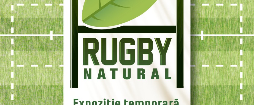 antipa_rugby_poster_A3_v4