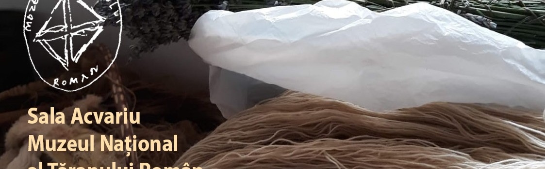 afis_Vopsiri din drag