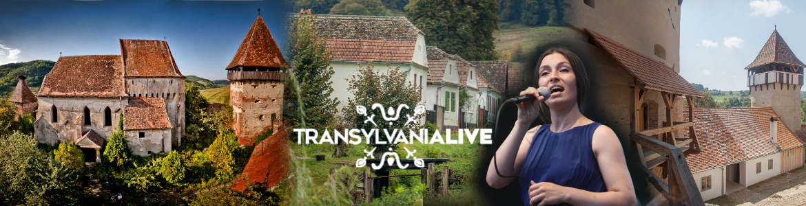 banner Alma Vii Luiza Zan