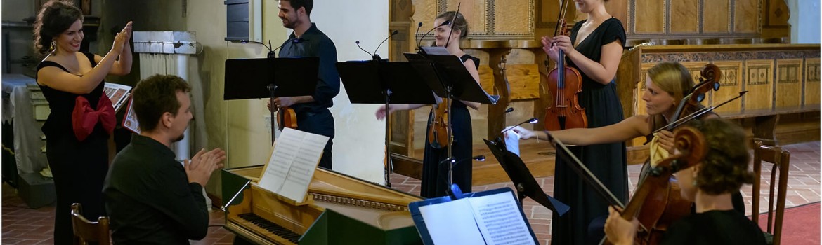 Musica Ricercata si Rodica Vica, Medias