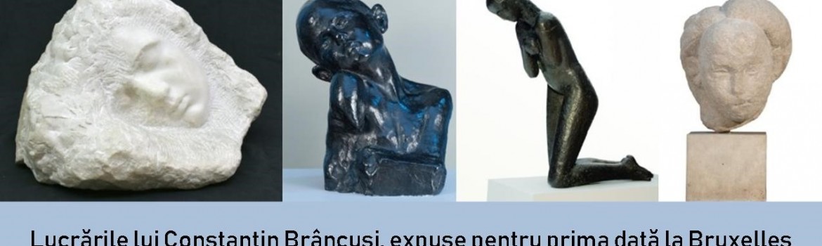 MNAR Brancusi Europalia