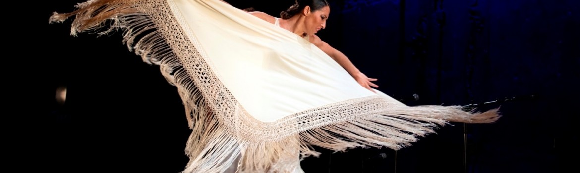 flamenco4