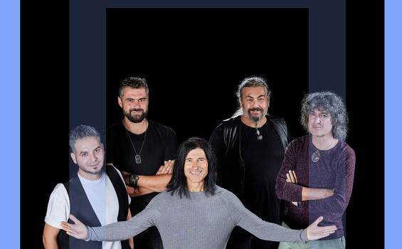 sarmalele reci