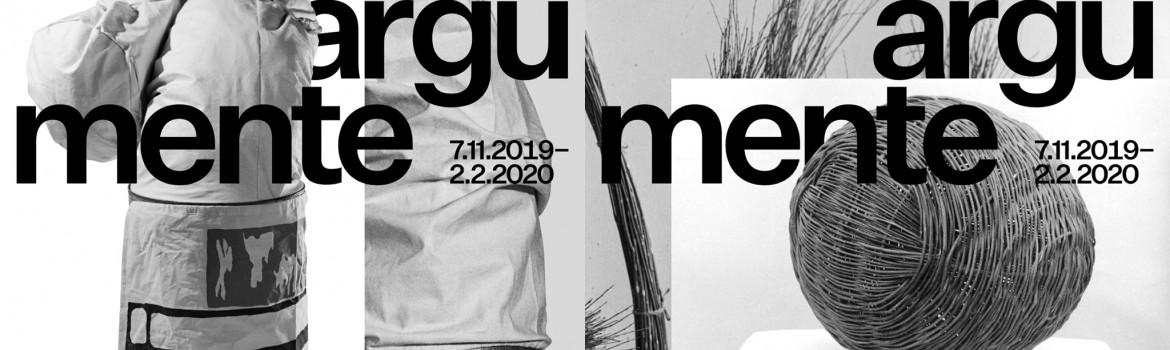 COVER 24 DE ARGUMENTE_MNAR 2019