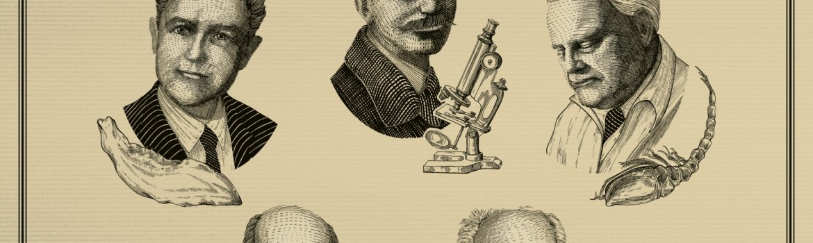 antipa-zoologie-poster-A3-191015_M-1600x2263