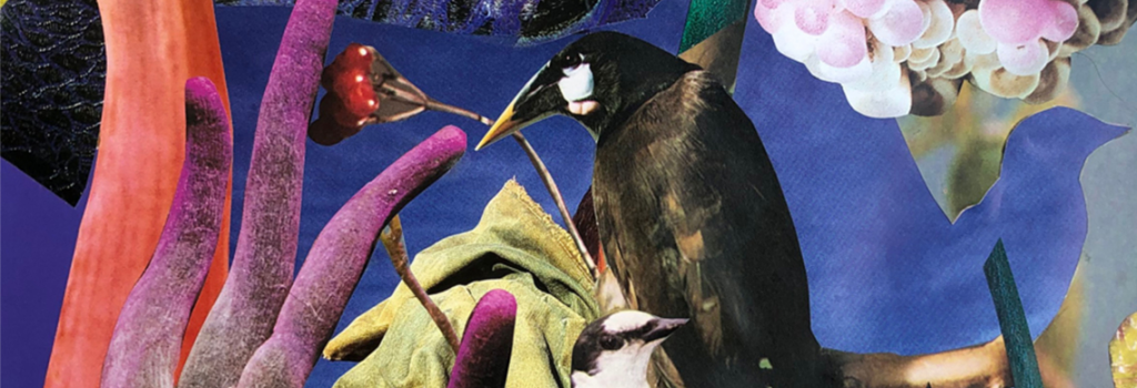 slider-florin-petrachi