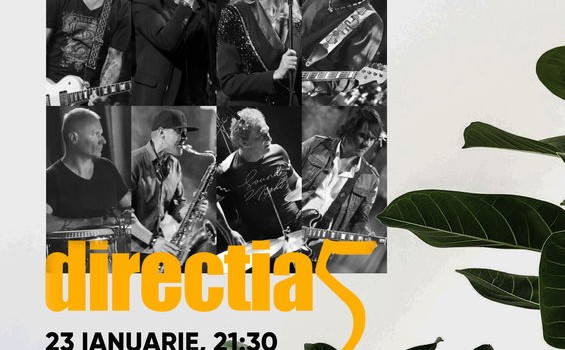Directia 5