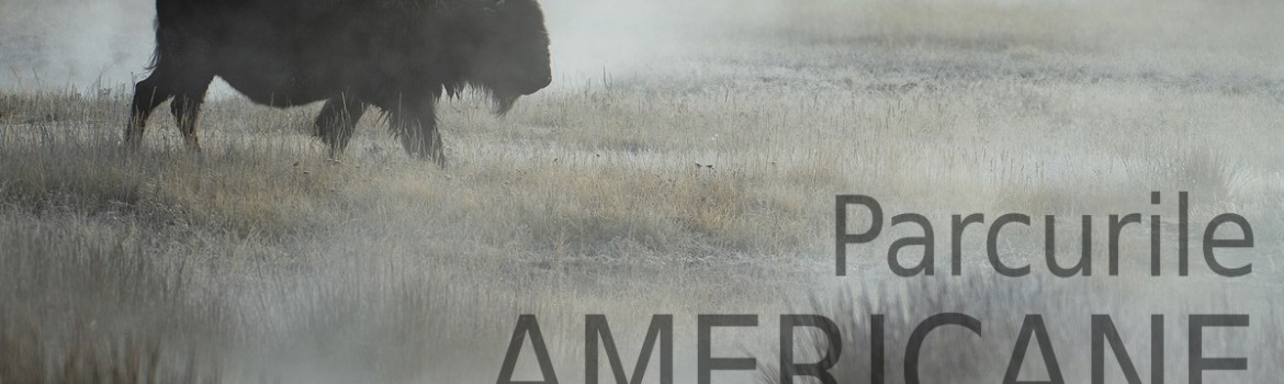 Parcurile americane