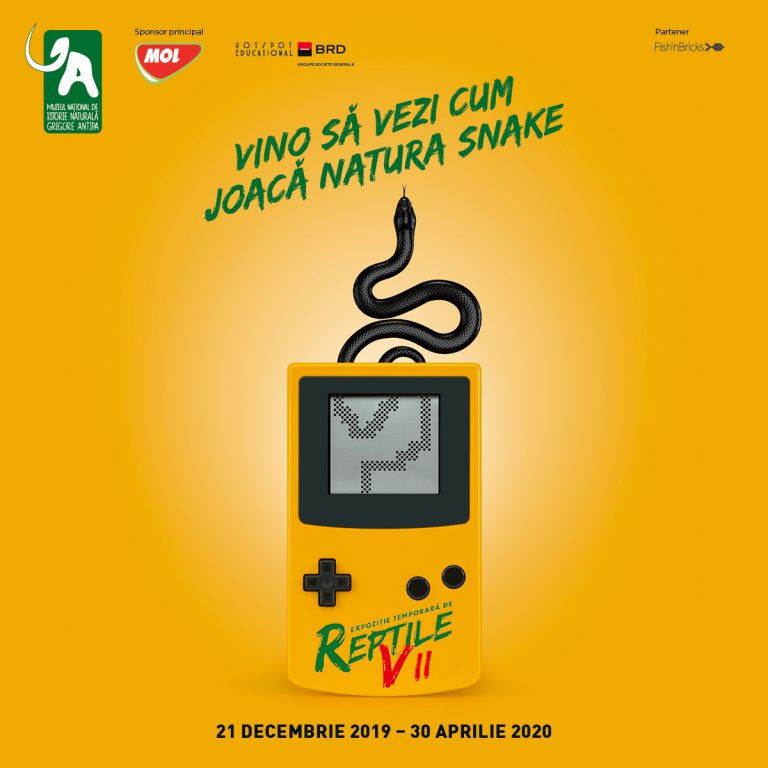 antipa_reptile_fb-poster_1200x1200_191128-768x768