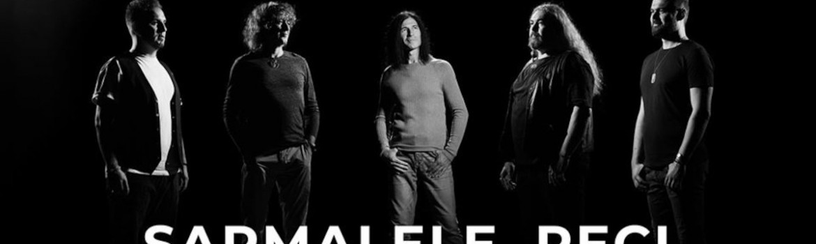 sarmale-reci-banner-big