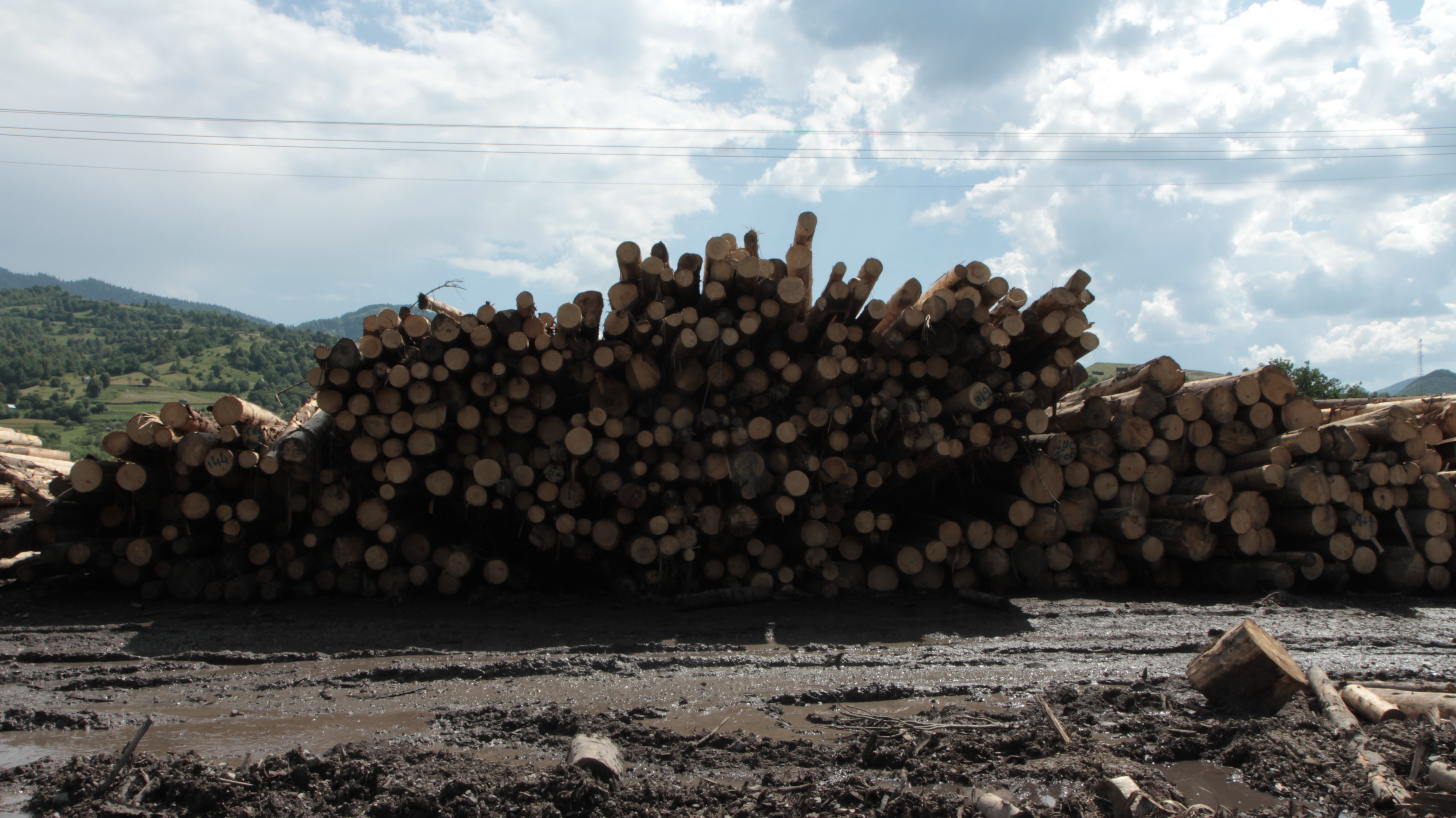 WOOD_STILL 4A