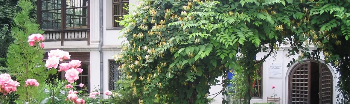 Muzeul_Theodor_Pallady