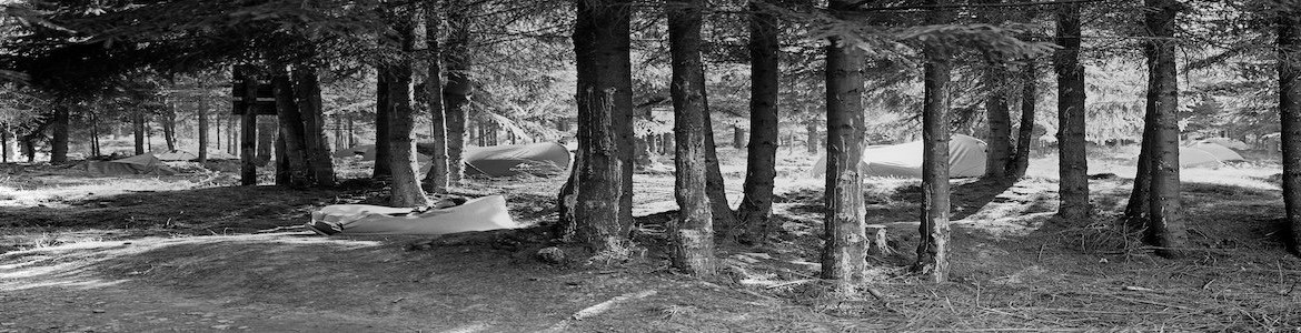 bilete-garana-jazz-festival-banner-big