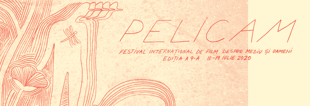 vizual-Pelicam-2020-1024x576