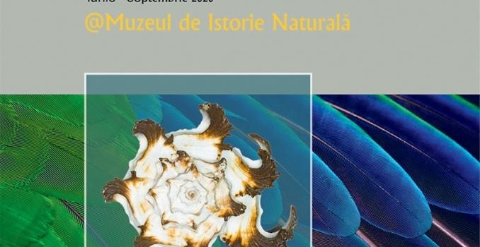 Afis-Structură-și-culoare-în-lumea-vie