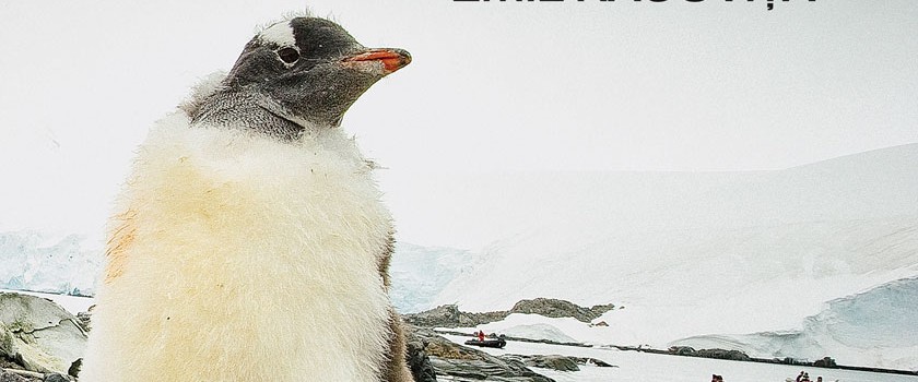Din-Antarctica-la-Scarisoara