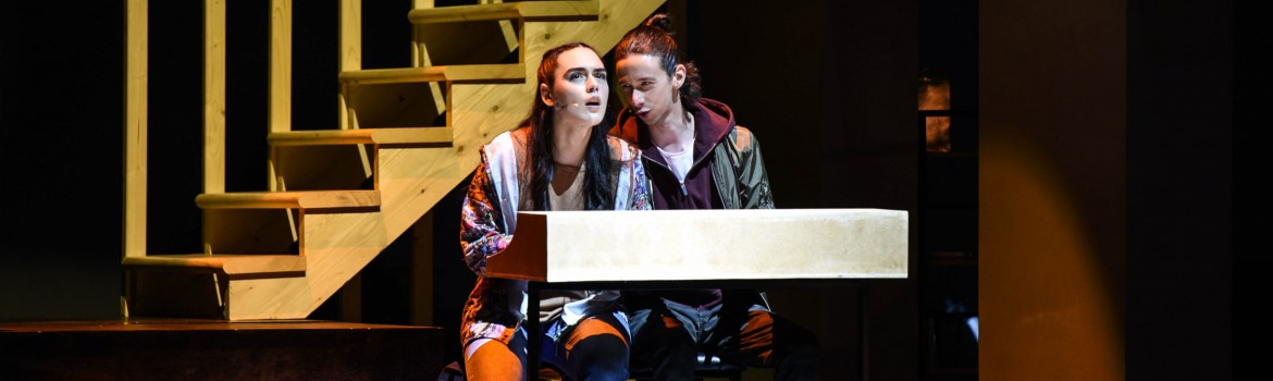 Foto Next to Normal_Maria Stefanescu_3