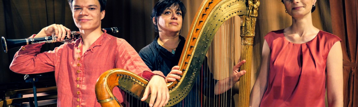 Harpa_9_WEB_Foto_Virgil-Oprina_2021_06_17