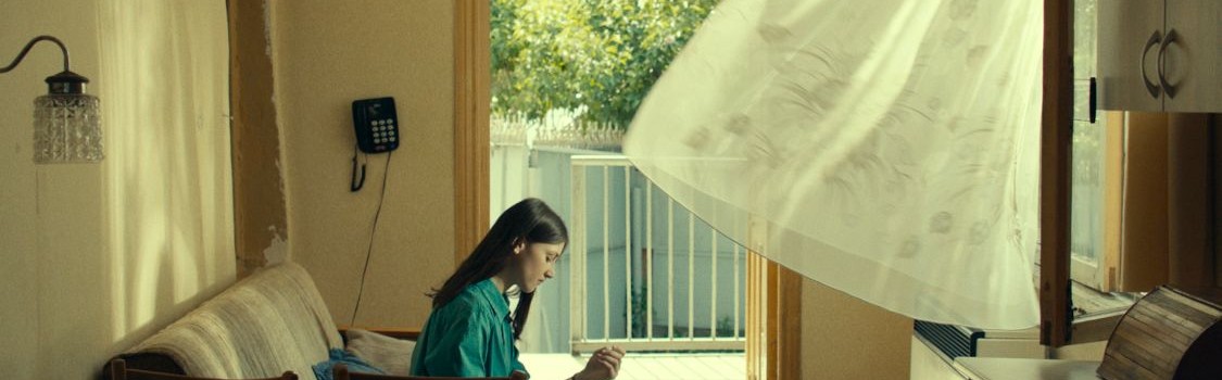 Filmele competitiei TIFF