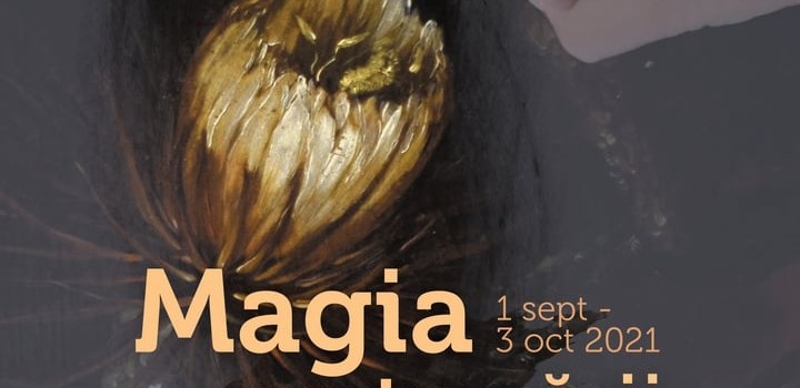 Afis Magia restaurarii
