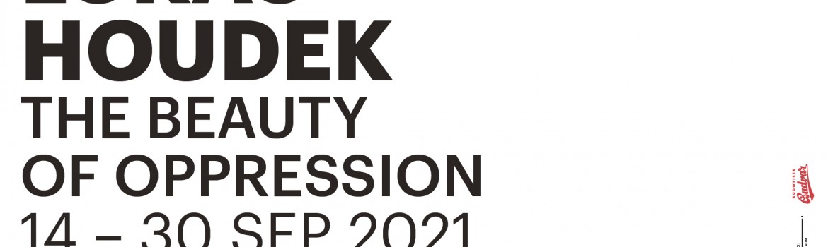 Image-the-beauty-of-oppression