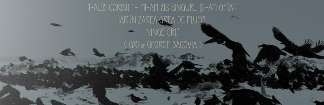afis_ovidiu_ungureanu_pt_maria_pasc