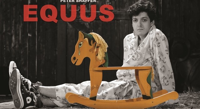 Equus_100x70cm_afis (1)web