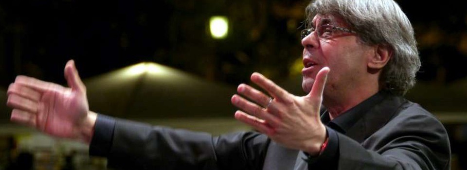 art-img1-2099581-ionel_tudor