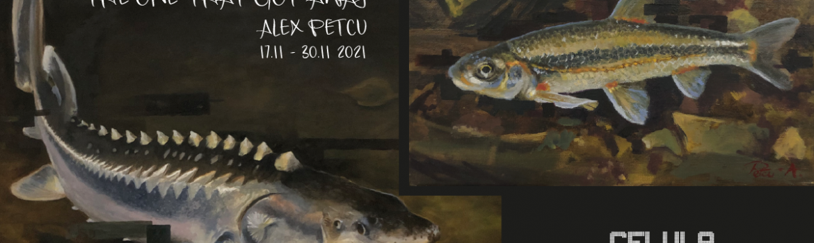 Celula de artă_The one that got away @Alex Petcu_2