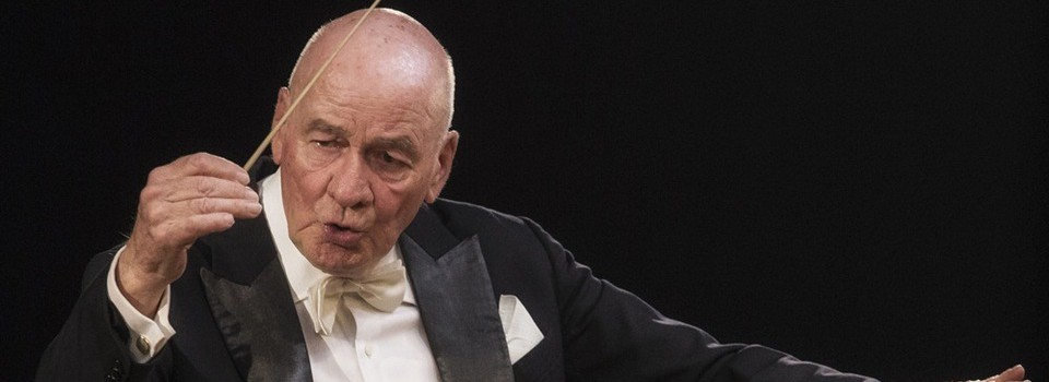 art-img1-3279261-petre-sbarcea