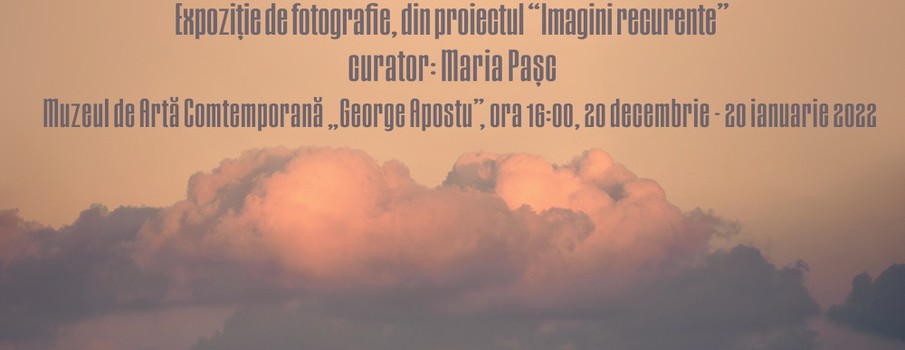 afis_ovidiu_ungureanu_pentru_maria_pasc